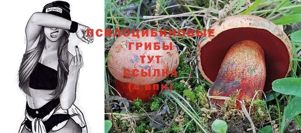 соль ск Алексин