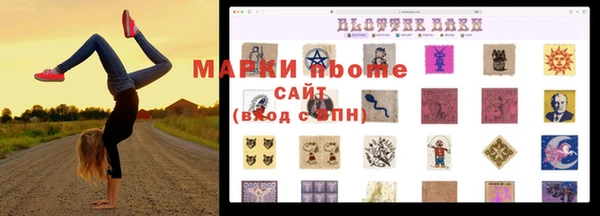 стаф Алзамай
