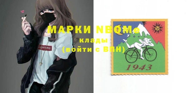 стаф Алзамай