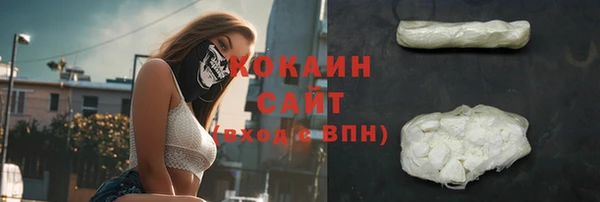 стаф Алзамай
