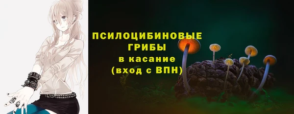 стаф Алзамай