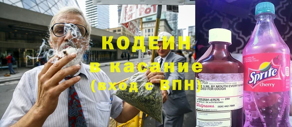 стаф Алзамай