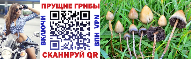 Галлюциногенные грибы Magic Shrooms  Пучеж 
